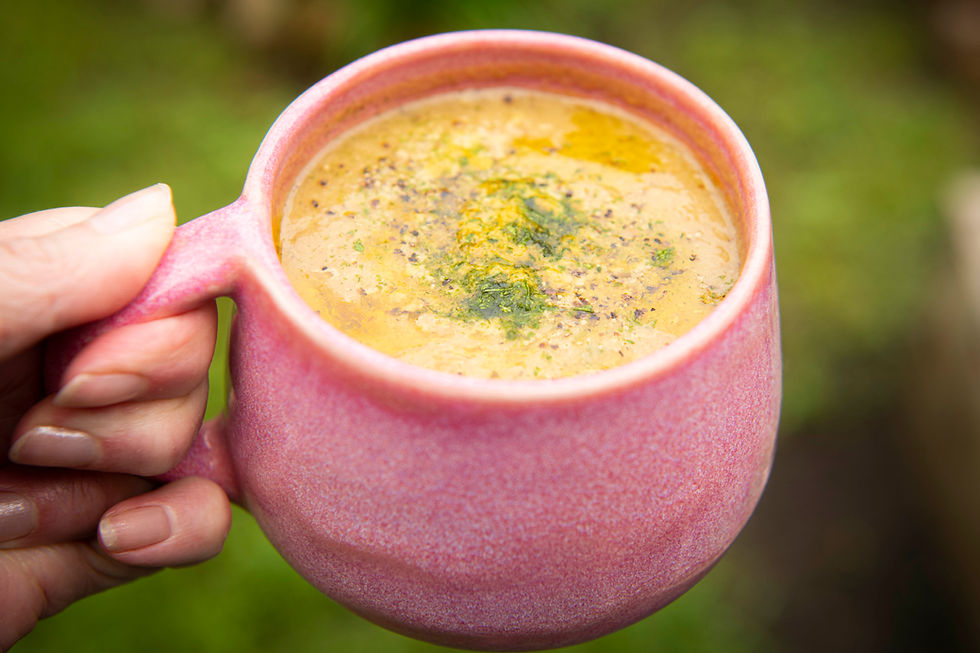 Improving Cognition- There's a fungus among us...