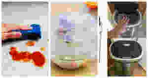 Cleanup_the_spills_Cover_food_Seal_trash_cans_keep ants_away_from_kitchen