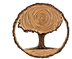 Arbol-P.PNG.png