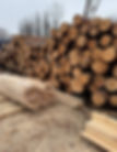 IMAGE 2025-02-18 13_03_17_edited.jpg
