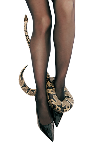 7L0A4048_edited_edited.png