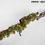 Thumbnail: SCG NEXTGEN RIFLE CAMO SYSTEM