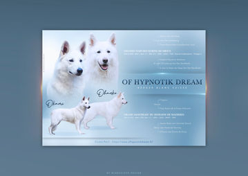 Biancayeto Design, annonce de saillie, graphisme, montage