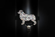 Biancayeto design, graphism, dog show accessories, accessoire exposition canine, brassard, laisse d'exposition, show lead, pochette friandise