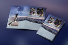 Biancayeto Design, présentation élevage, graphisme, montage, chemise à rabat, carte de visite, business card, sticker, roll-up, bannière, banner