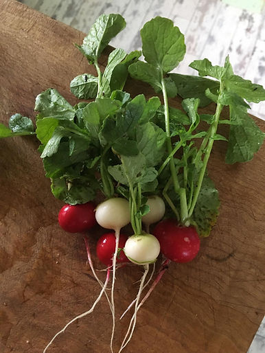 2020Radish.jpg
