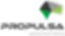 logo-propulsa.png