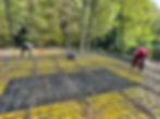 IMG_9466.jpeg