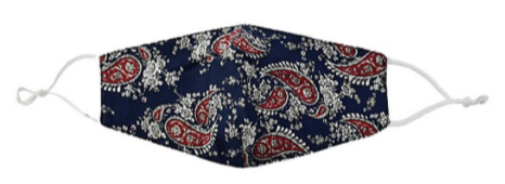 Thumbnail: Paisley print mask