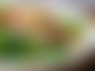 QUINOA SALAD WITH MIXED VEGGIES