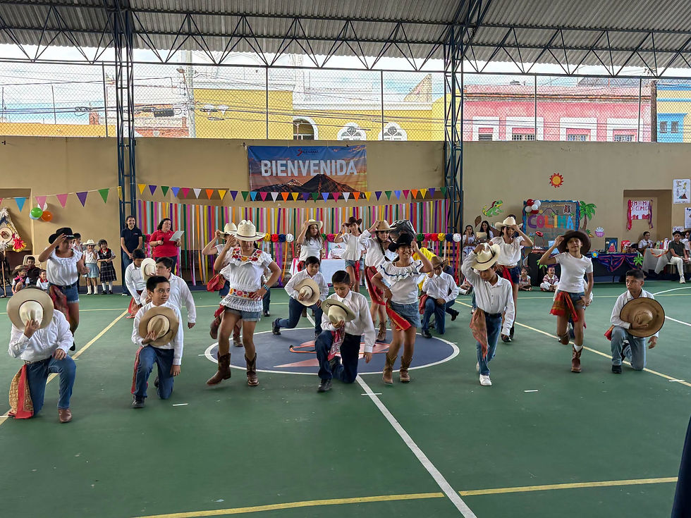 Colima 6