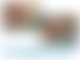 2025 Summer - True To Life: Stride Together for Life