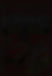 guestbackground.jpg