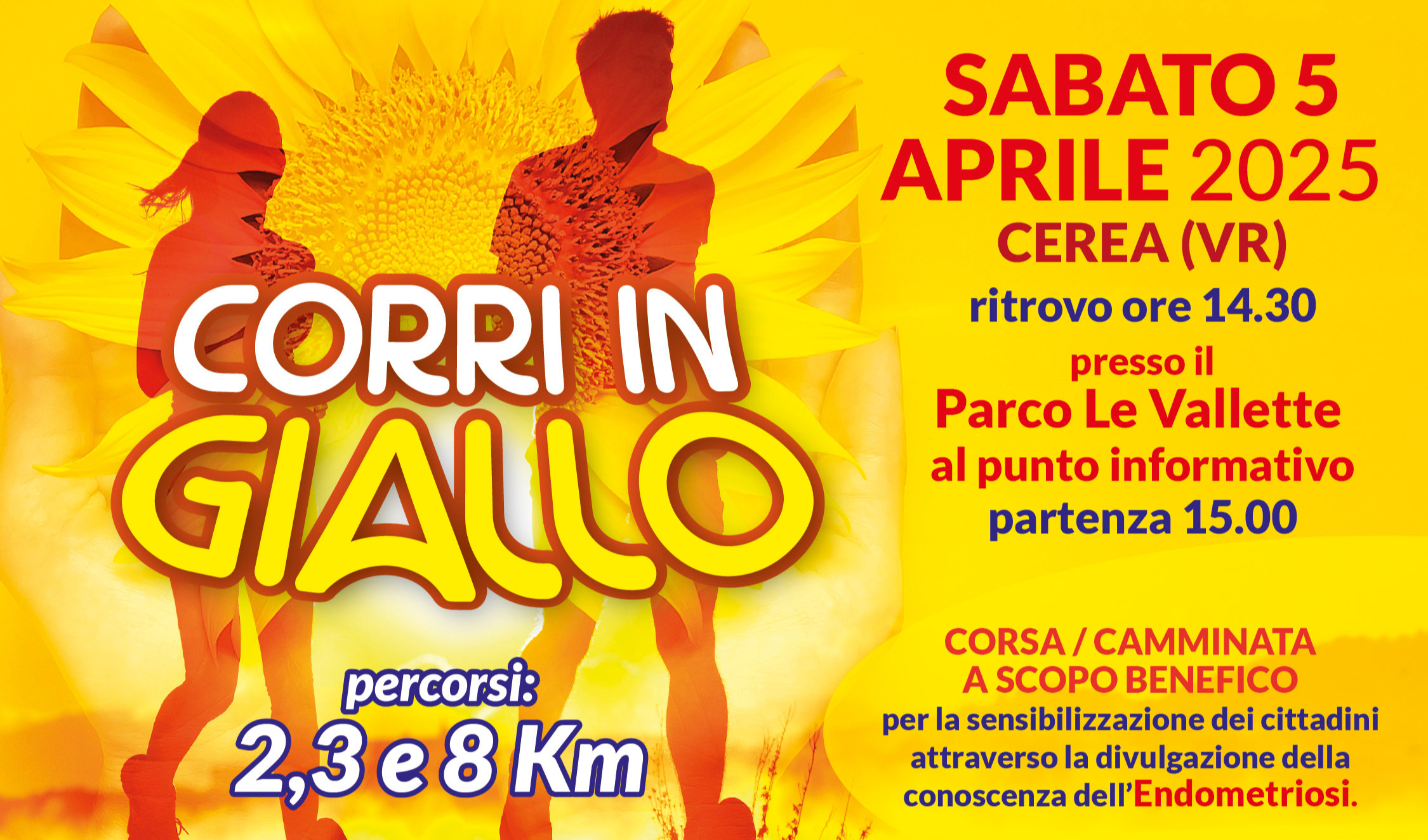 Corri in Giallo
