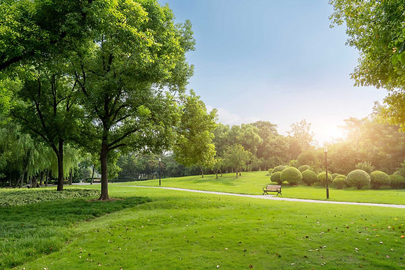 shutterstock_2503668517web.jpg