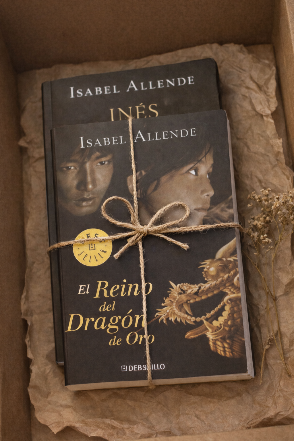 Isabel Allende Bundle – 2 Bücher auf Spanisch