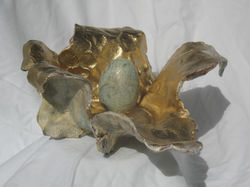 Physalis