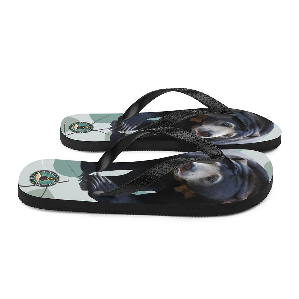 Thumbnail: Sumatran Sun Bear Team Flip Flops