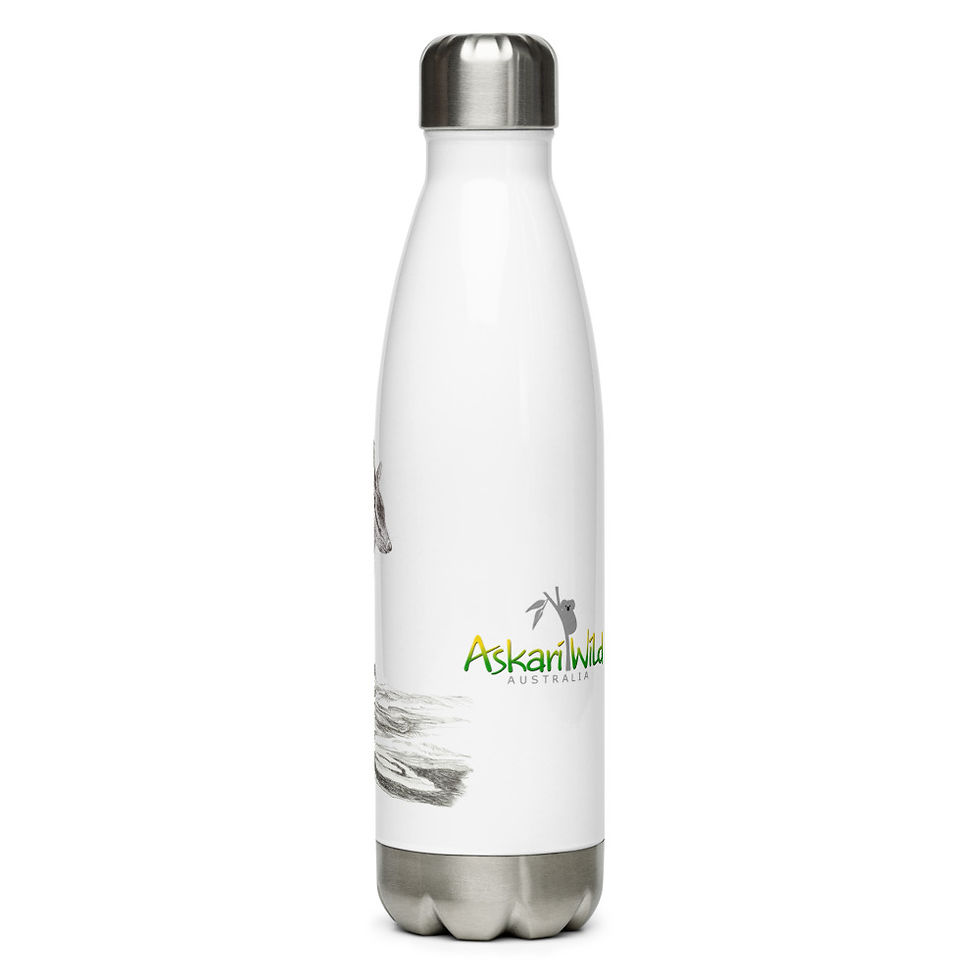 Thumbnail: Askari Wild Stainless Steel Water Bottle - Aussie Sketch Series Numbat Design