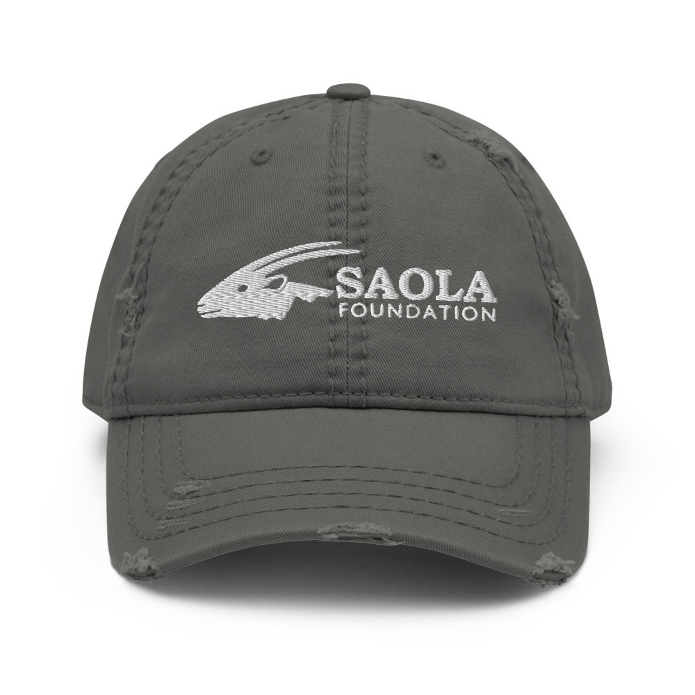 Saola Foundation Distressed Cap