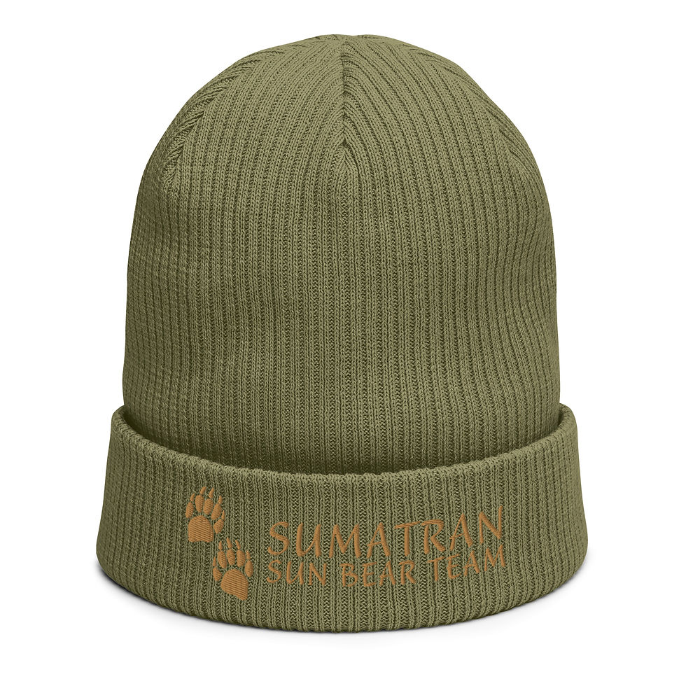 Thumbnail: Sumatran Sun Bear Team Organic Ribbed Beanie - Bear Paw Design