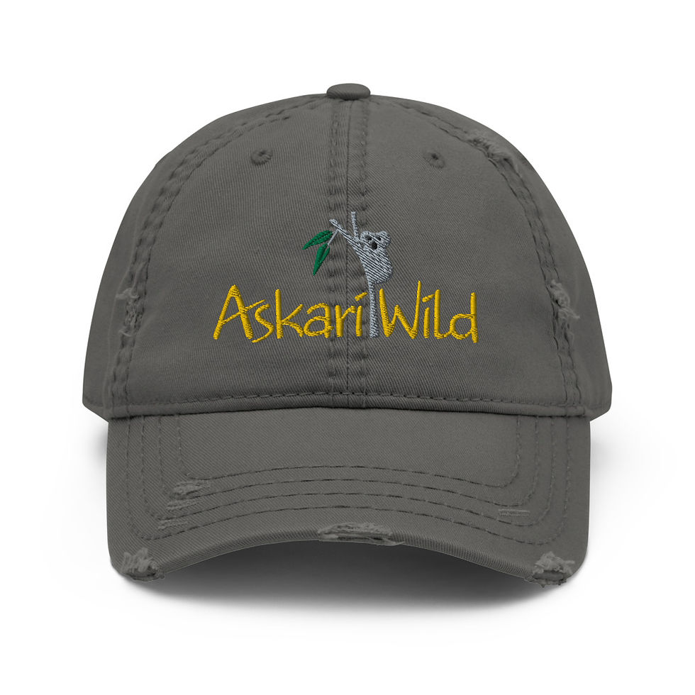 Thumbnail: Askari Wild Distressed Cap - Aussie Sketch Series Logo