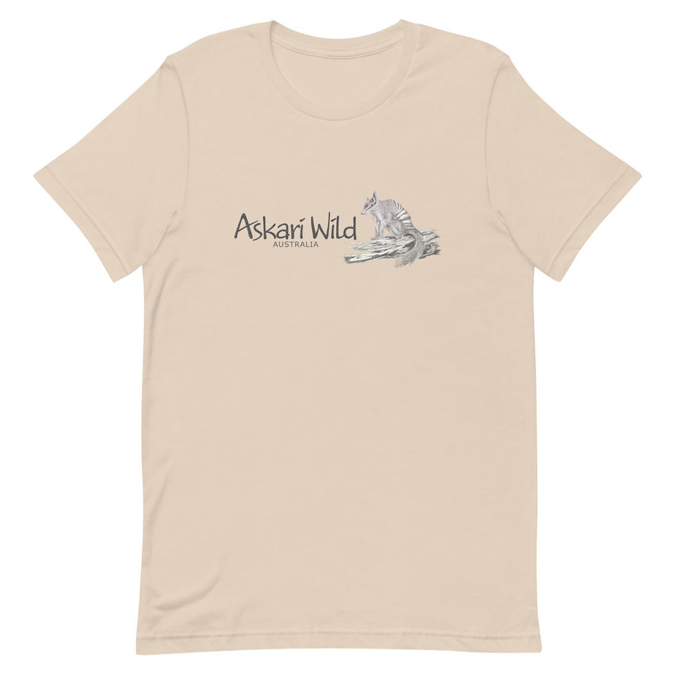 Thumbnail: Askari Wild Unisex T-Shirt - Aussie Sketch Series Numbat Design