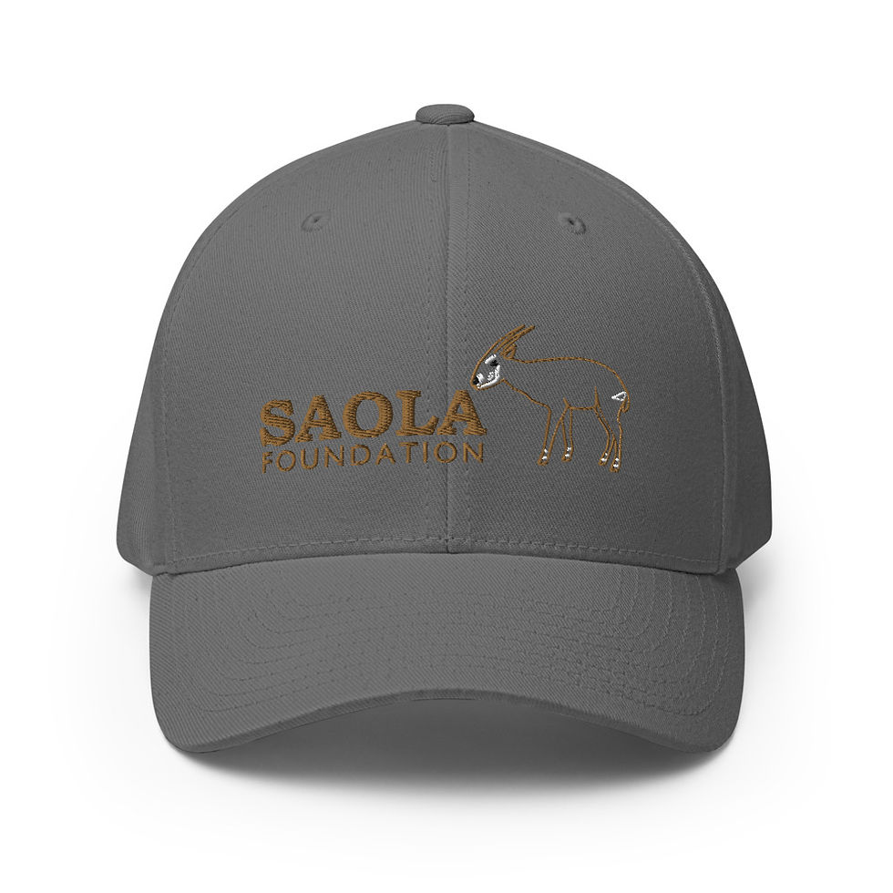 Thumbnail: Saola Foundation Flexfit Cap - Outline Design