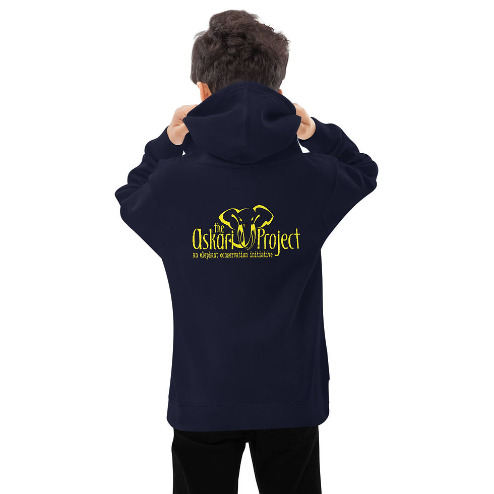 Thumbnail: Askari Project Youth Hoodie