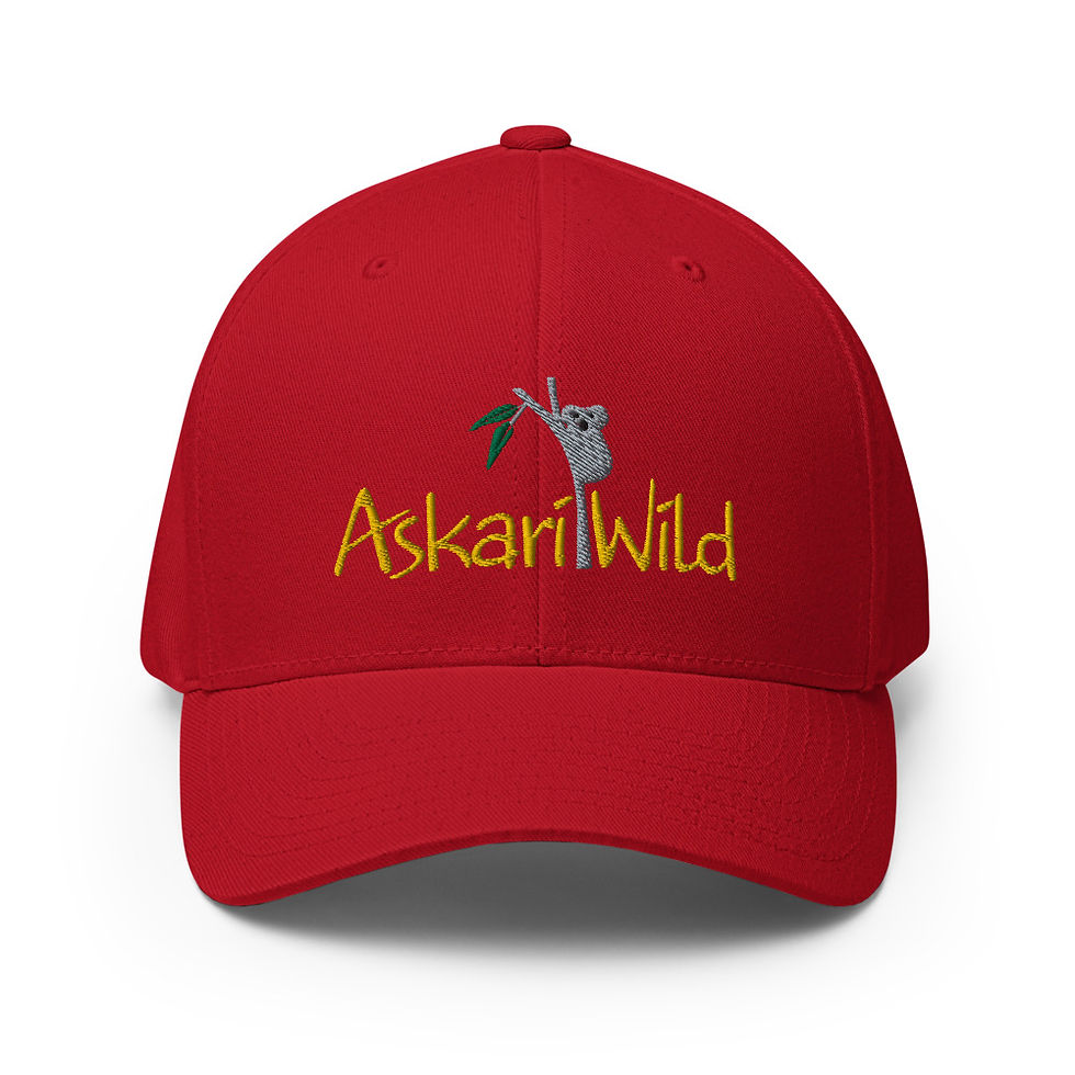 Thumbnail: Askari Wild Flexfit Cap - Aussie Sketch Series Logo
