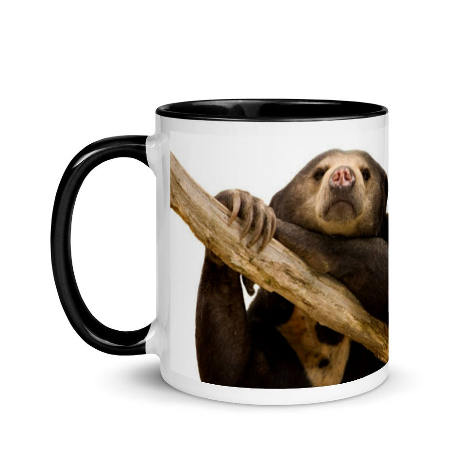 Thumbnail: Sumatran Sun Bear Team Mug - Holding On Design