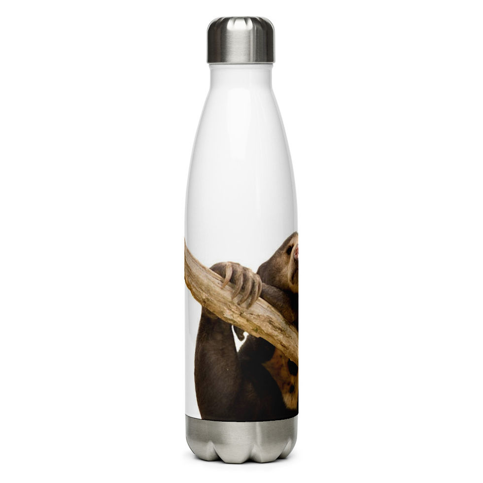 Thumbnail: Sumatran Sun Bear Team Stainless Steel Water Bottle - Holding On Design
