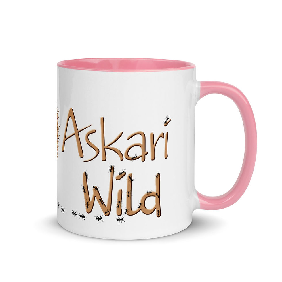 Thumbnail: Askari Wild Mug - Aussie Sketch Series Echidna and Ants Design