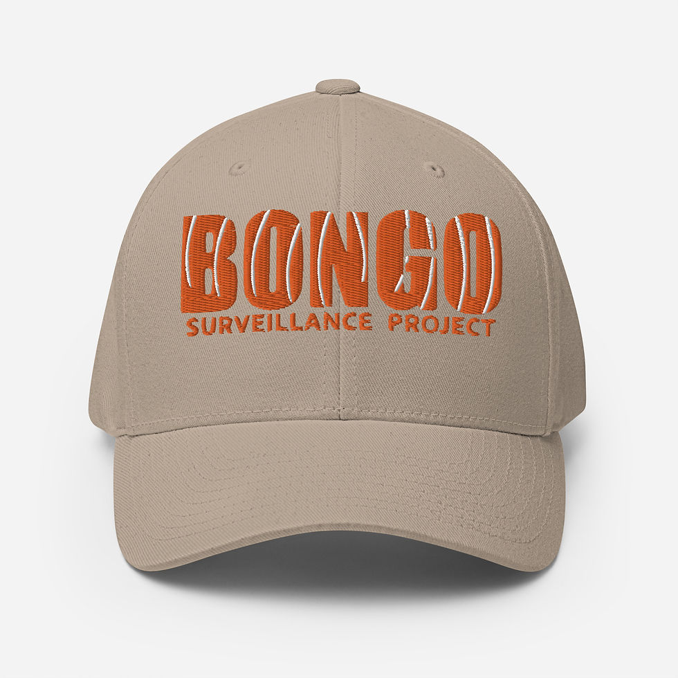 Thumbnail: Bongo Project Flexfit Cap