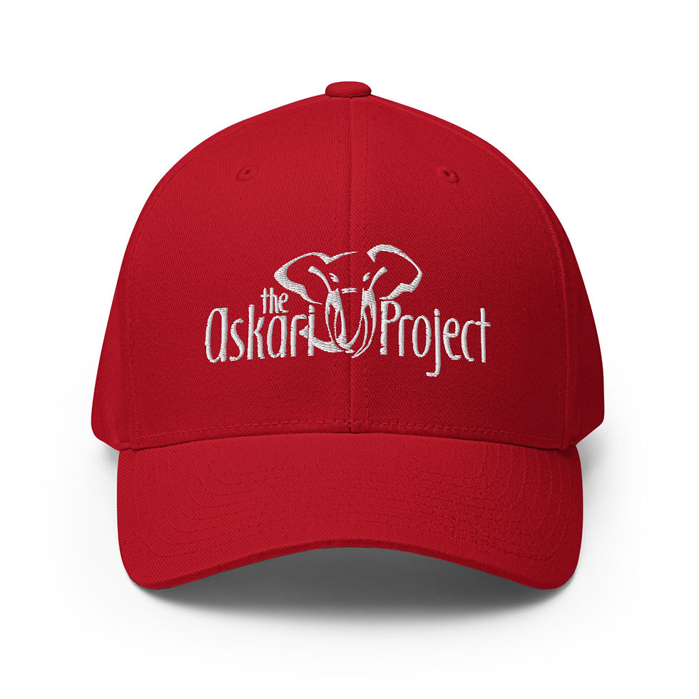 Thumbnail: Askari Project Flexfit Cap - White Logo