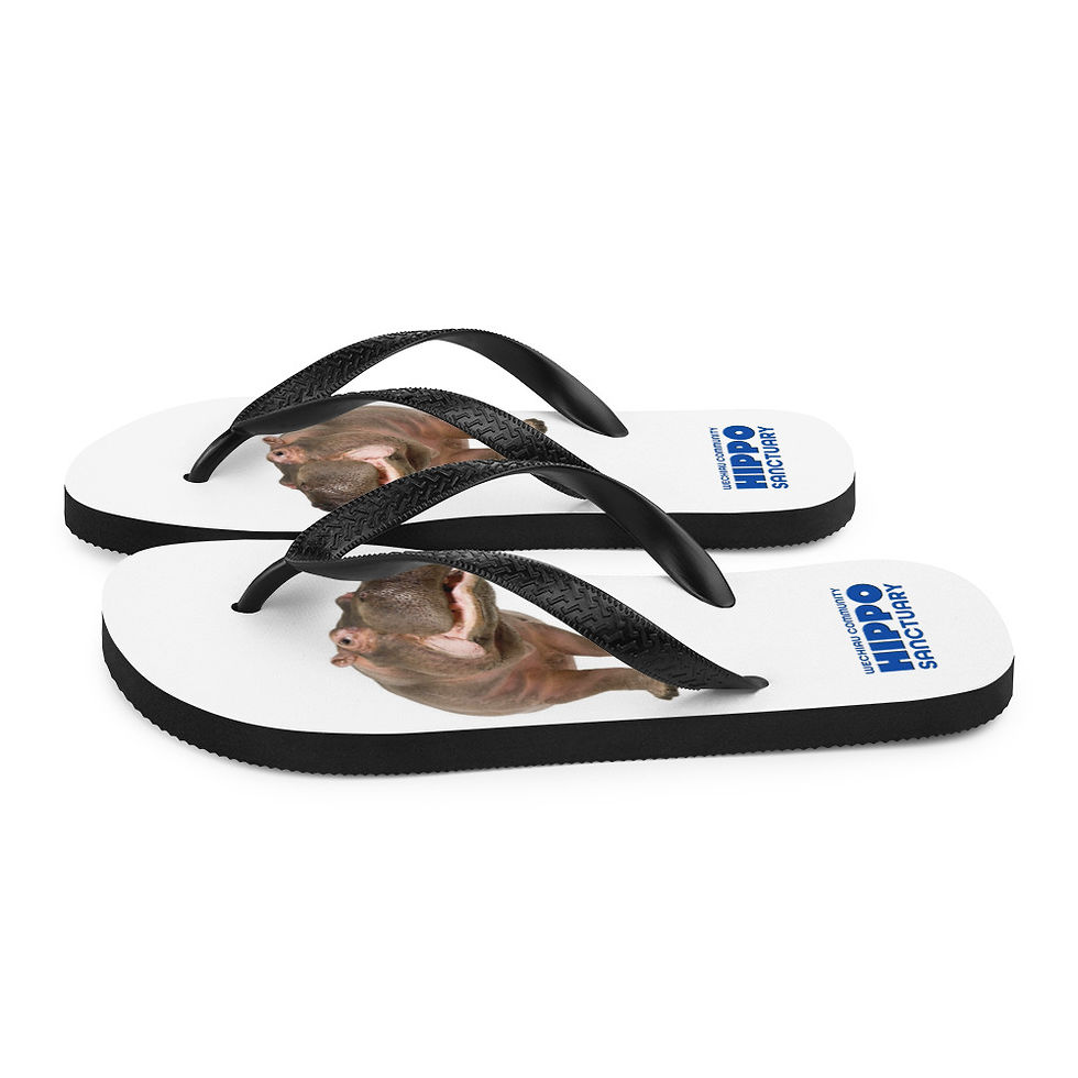 Thumbnail: Wechiau Hippo Flip Flops