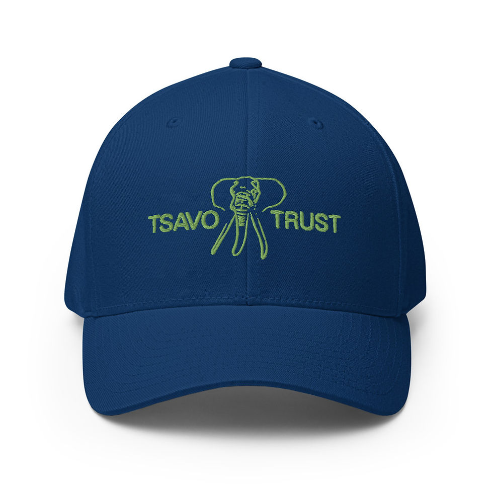 Thumbnail: Tsavo Trust Flexfit Cap - Green Logo