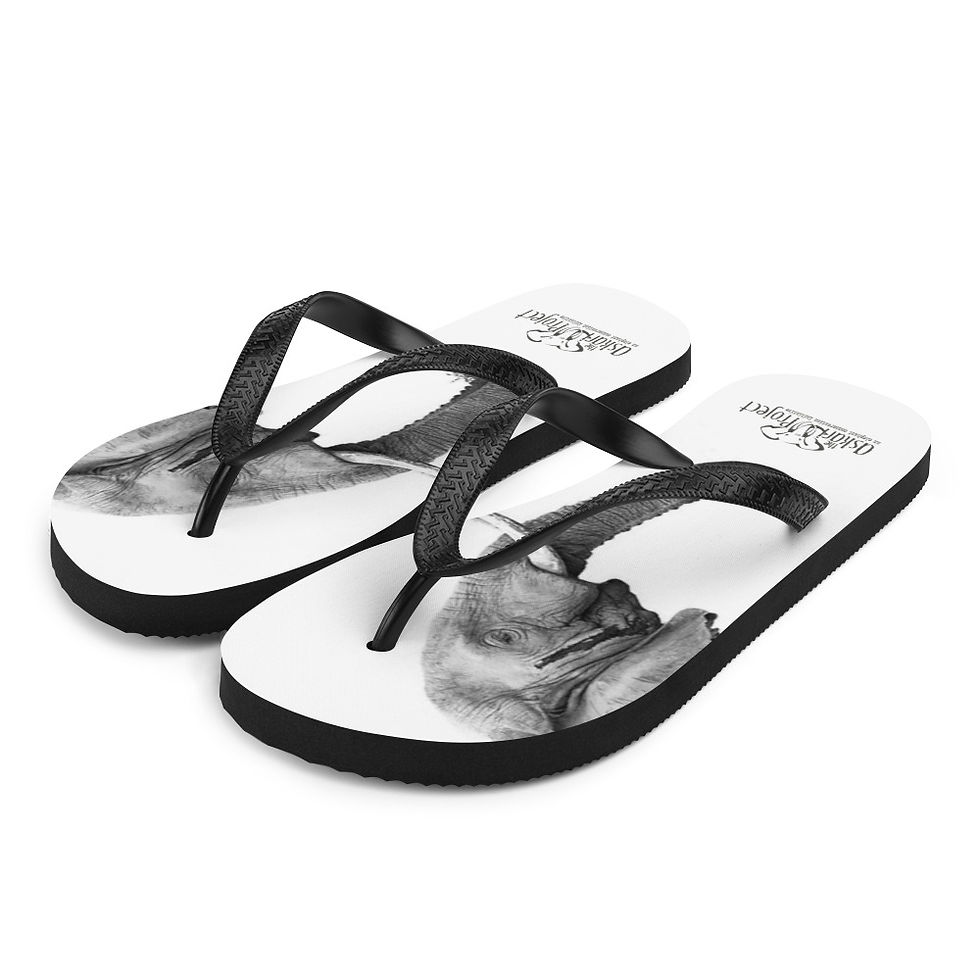 Thumbnail: Askari Project Flip Flops
