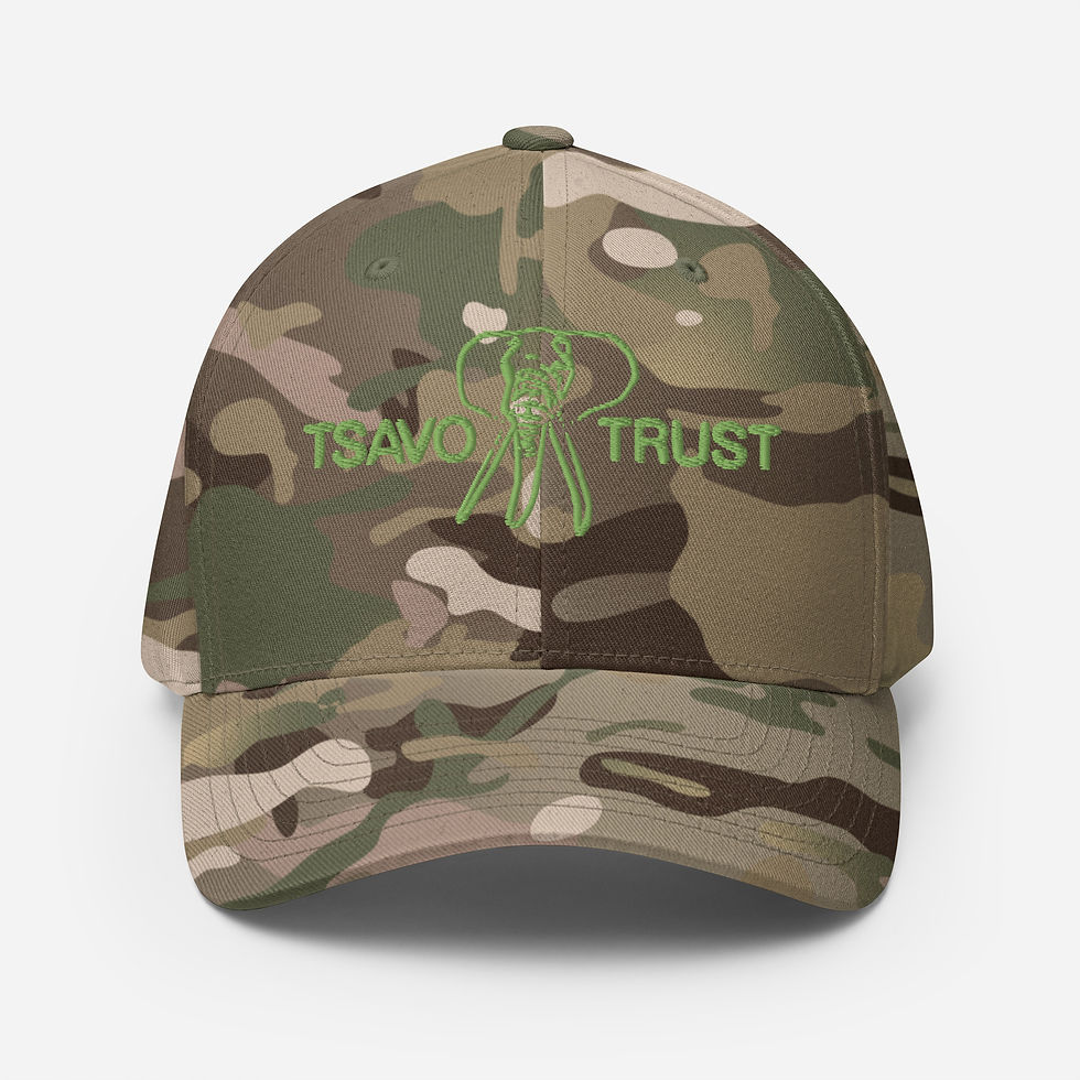 Thumbnail: Tsavo Trust Flexfit Cap - Green Logo