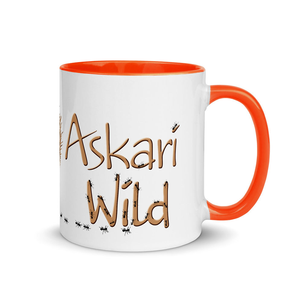 Thumbnail: Askari Wild Mug - Aussie Sketch Series Echidna and Ants Design