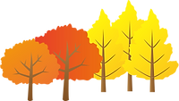 11月紅葉-1.png