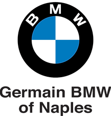 bmw logo 2024 from BMW_edited.png