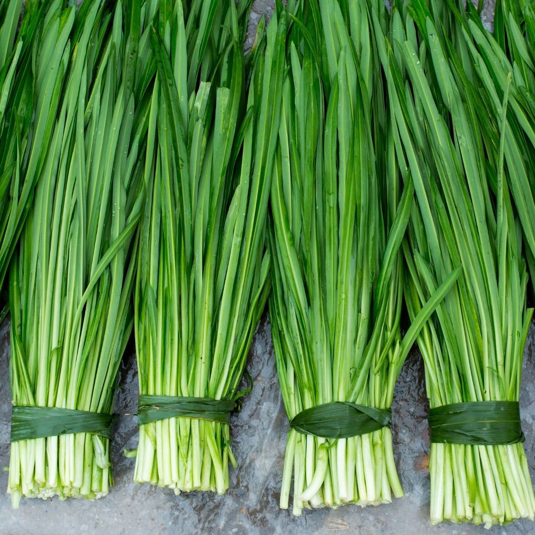 Ciboulette