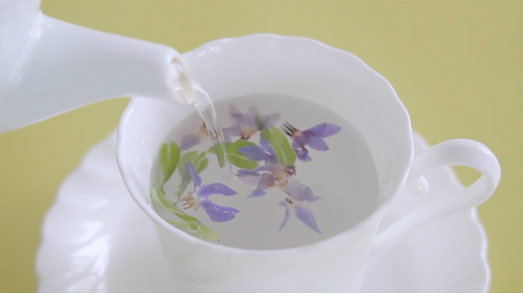 スクリーンショット 2023-02-24 15.32.00.png