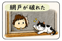 広島県広島市、安芸郡、熊野町、府中町、矢野、焼山、呉、東広島、黒瀬、おうちの困りごと、扉の修理交換、窓の修理、網戸の交換、蛇口、シャワーの修理、床のきしみの修理、水回り、水道、お風呂、トイレ、キッチン、壁、カーテン交換、畳張り替え、フローリング、庭、剪定、修理から改装、リフォーム、リノベーション、注文住宅・ビルの設計から施工、広島の㈱協和へお任せください。