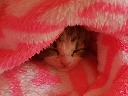 My "Furst" Baby - My story for Chicken Soup for the Soul