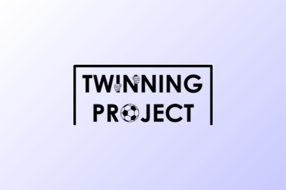How The Twinning Project used Vee to stay consistent with grants and storytelling — and landed a £45,000 win