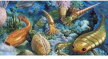 The Cambrian Explosion