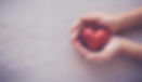 header-dona.jpeg