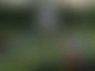 Ultimate Guide to Must-Have Accessories for Your Outdoor Movie Night